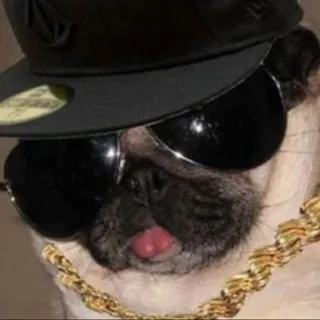 Puggy