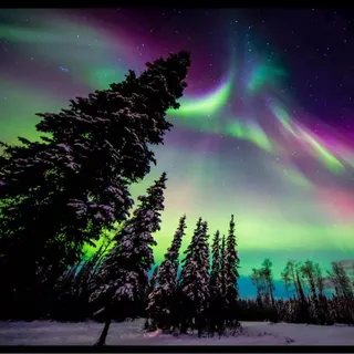 Northernlights