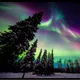 Northernlights