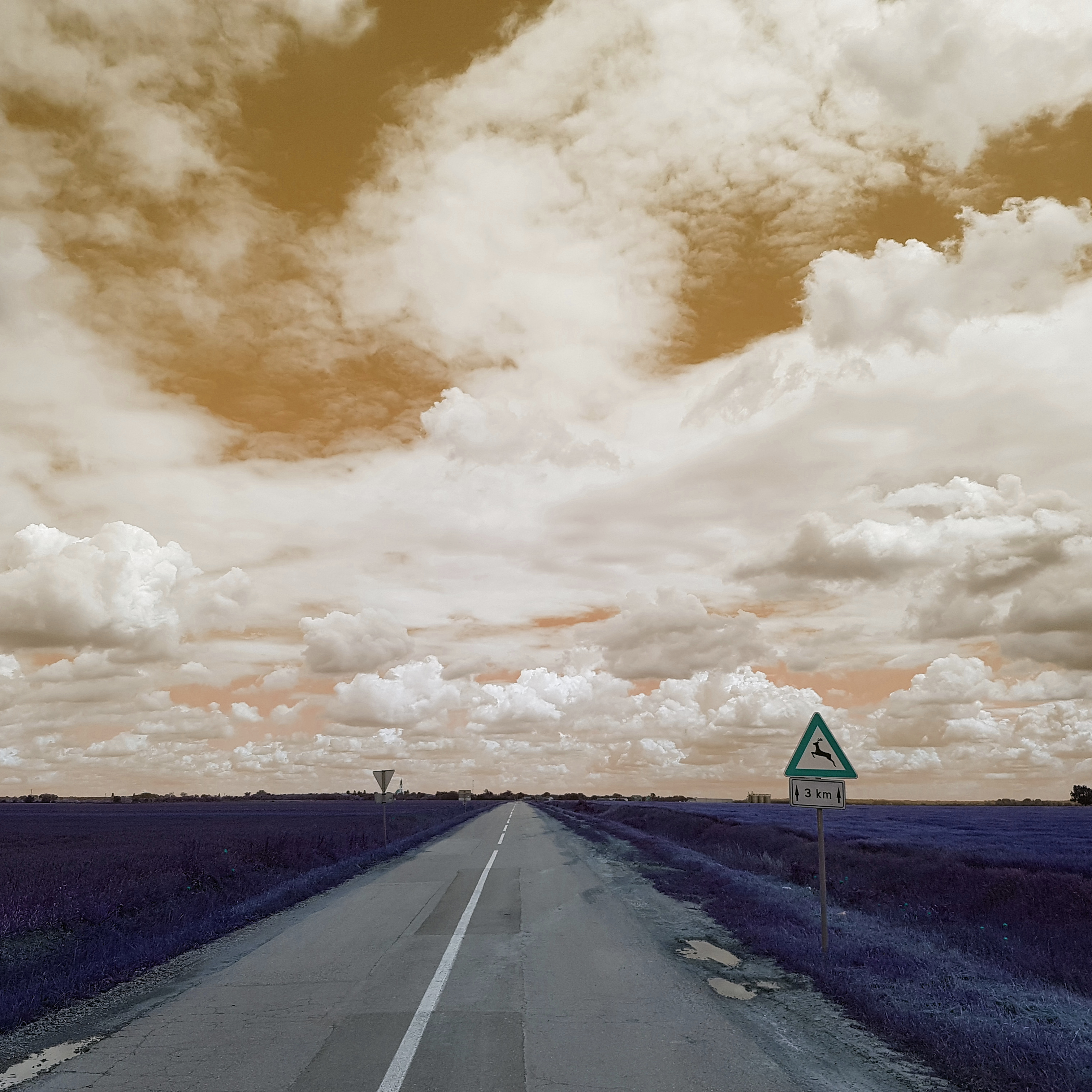 RaymondKelly