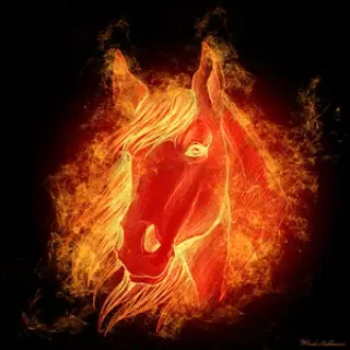 PonyOny