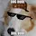 Dog Dude