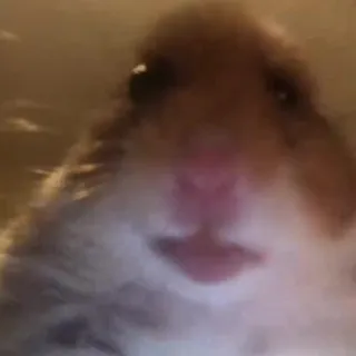 Sven