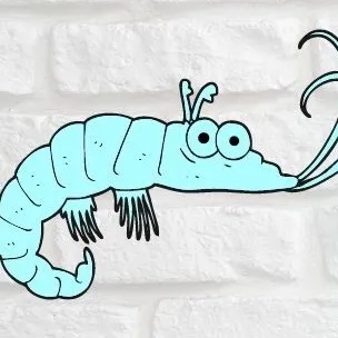Neoshrimp