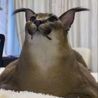 Kevinm