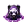 Purple Panda