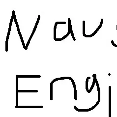 Naughty_Engineer