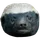 Ratel Mind