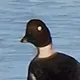 Anaakkeli