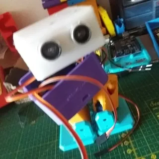 bobrob