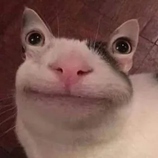 calisomething