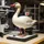 Robert Wildgoose