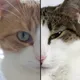 TheTremendousDuo