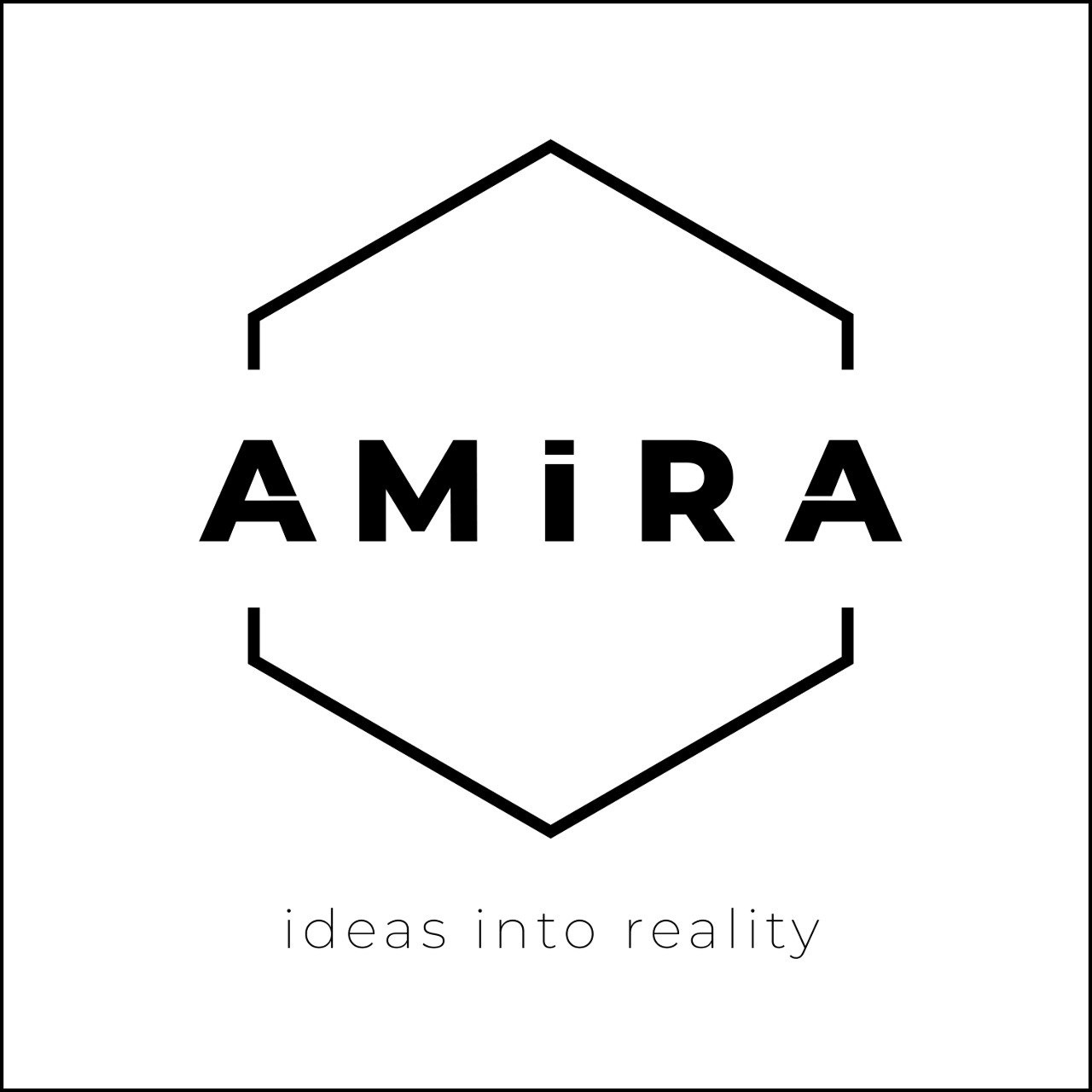 Amira 3d
