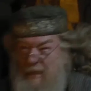 ragbor