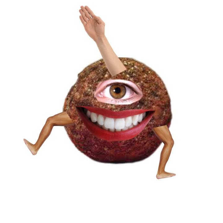 meatballz