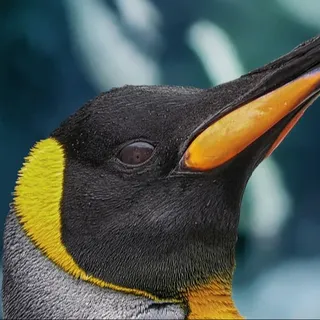 Atomic_Penguin