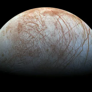 Cygnus