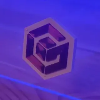 Elmidea
