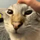 EpictheHamster