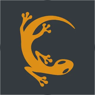 Geko_X