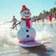 Florida Snowman