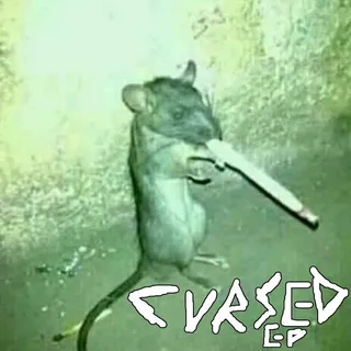 Leoooo100