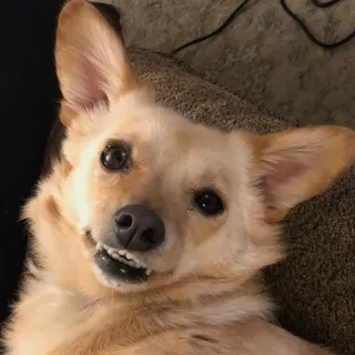 Tom