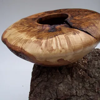 Knotcmptlecnfsd