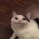 johny haky