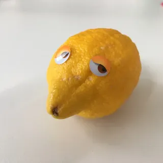 Sven