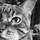 Senki