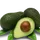 Studleyavocado