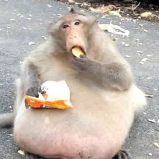 mlgAlex120