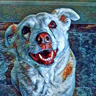 Jerry