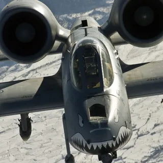 Nomad