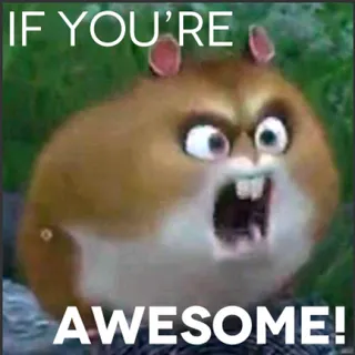 mikeaag