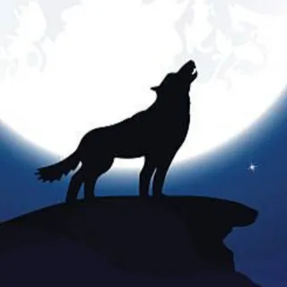 Freund der Nacht