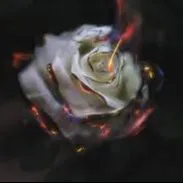 Burnt Flower Labs