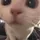 nchild