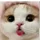 camcam1234