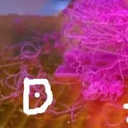 Defekkt