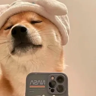 kimbo