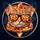 PIZZA_CAT