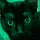 Kitty