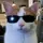3Dcat