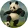 soccerpanda