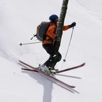 Treesmacker