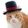 Meowmix