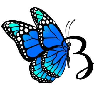 Bella Art De Nicole